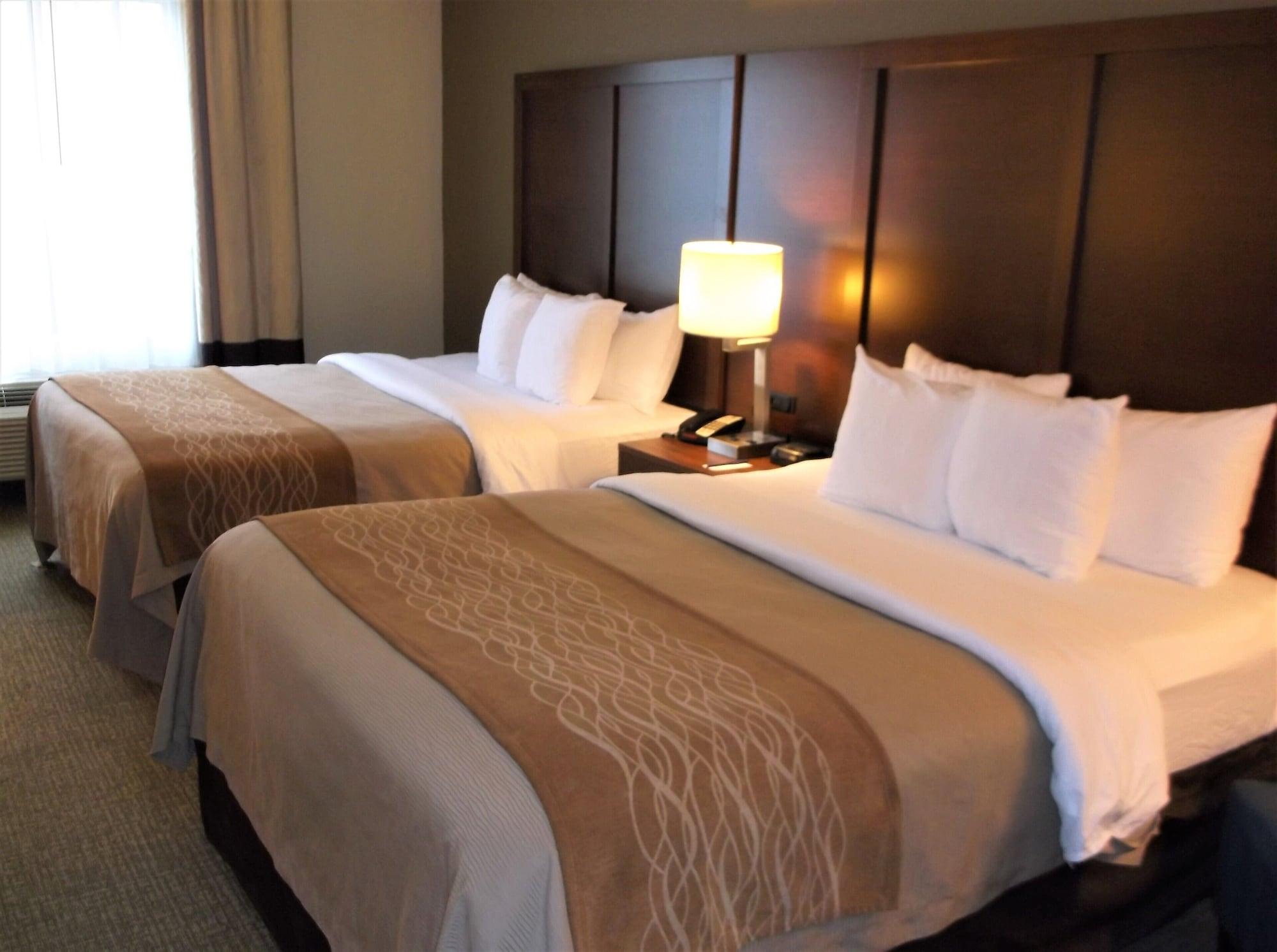 סגווין Comfort Inn & Suites מראה חיצוני תמונה