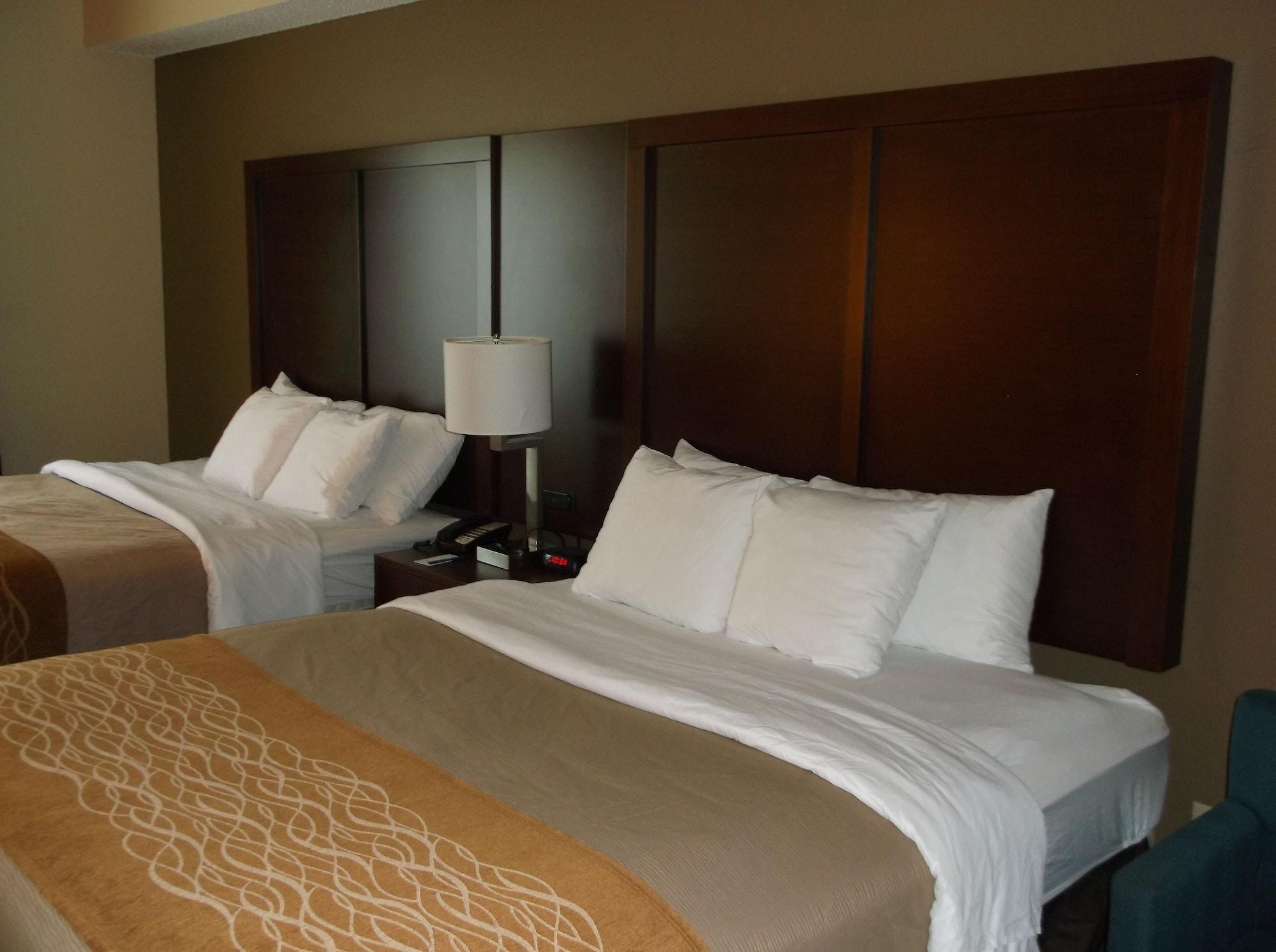 סגווין Comfort Inn & Suites מראה חיצוני תמונה