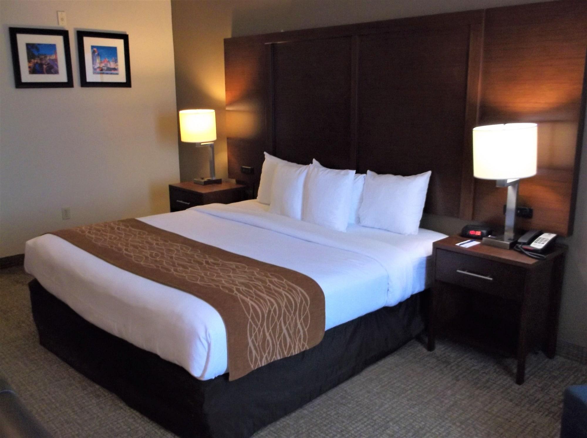 סגווין Comfort Inn & Suites מראה חיצוני תמונה